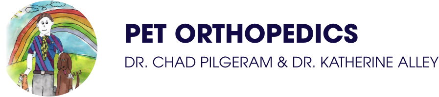 pet orthopedics logo purple