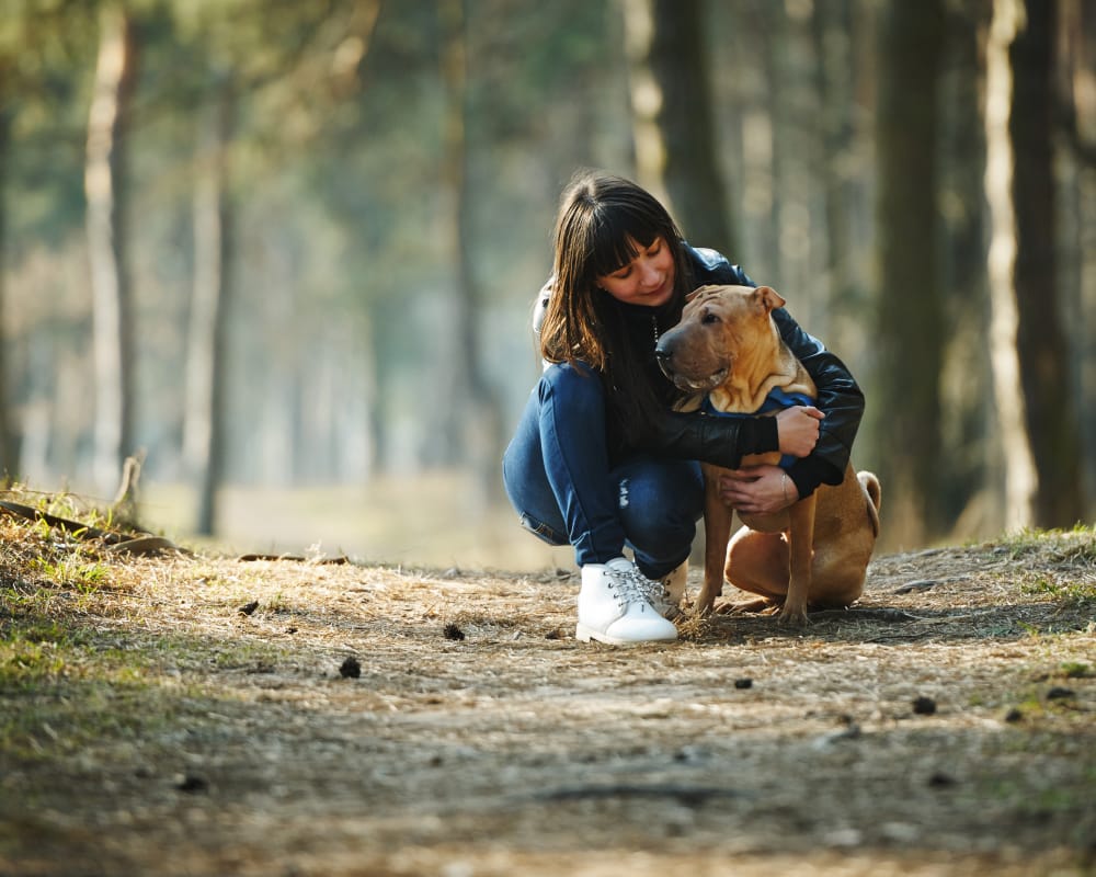 woman hugging dog