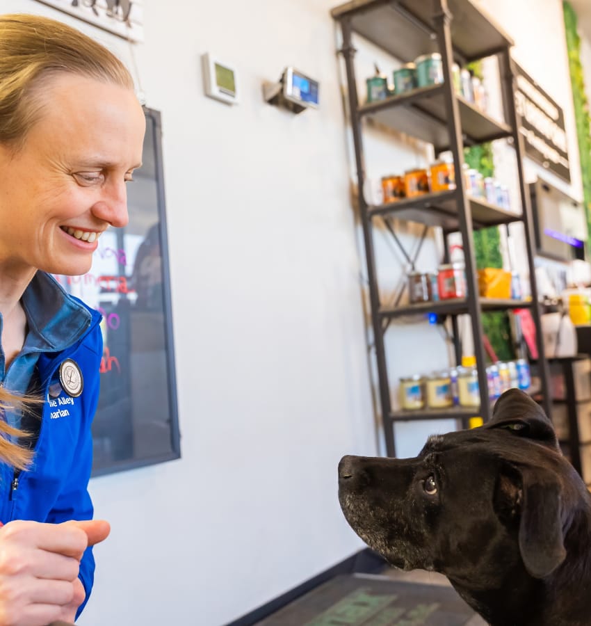 katherine-with-dog vet katherine interacting with dog